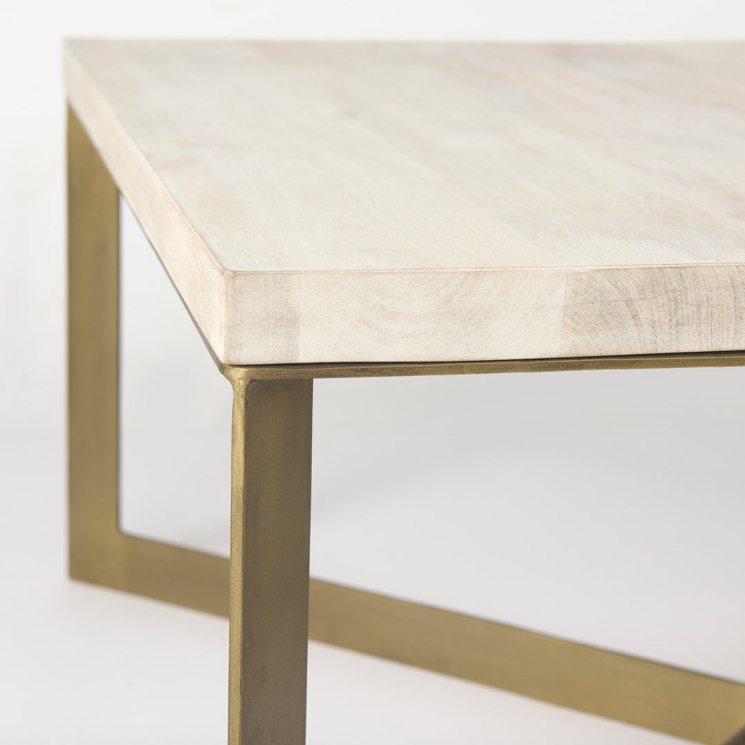 Faye 34L x 34W x 17H Beige Finished Wood W/Gold Metal Base Square Coffee Table