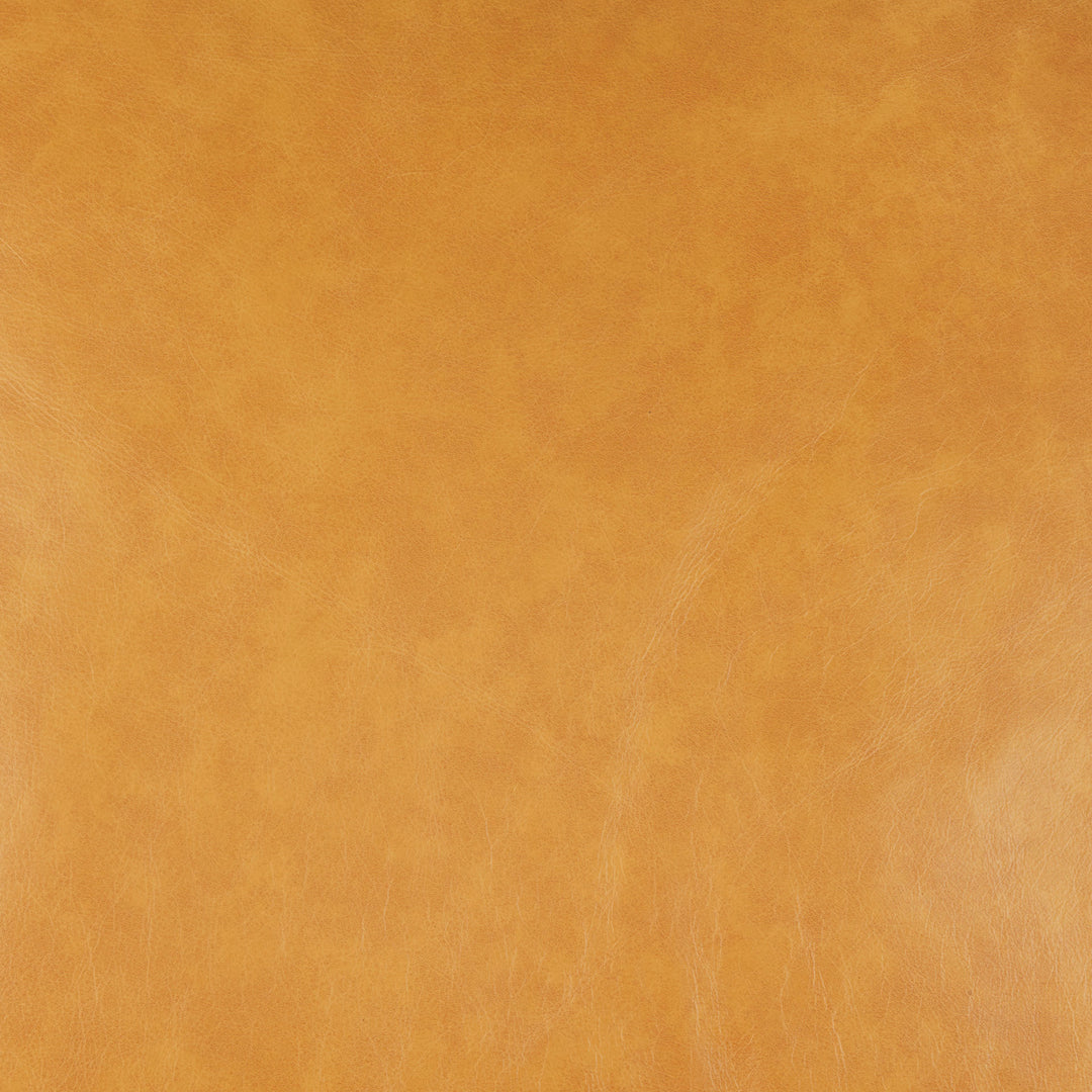 D'Arcy 88.0L x 37.0W x 34.0H Tan Leather Sofa