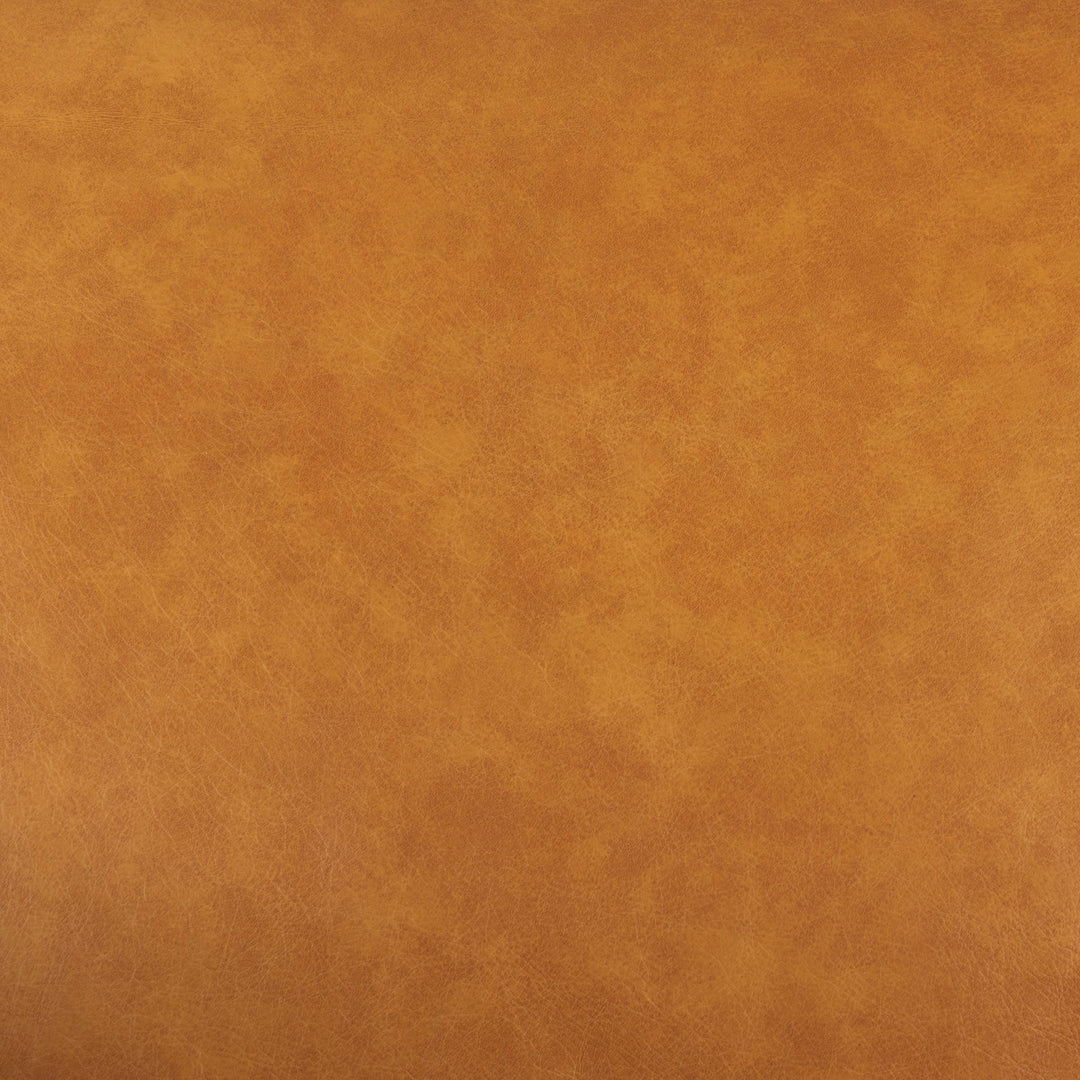 D'Arcy 65.0L x 37.0W x 34.0H Tan Leather Love Seat